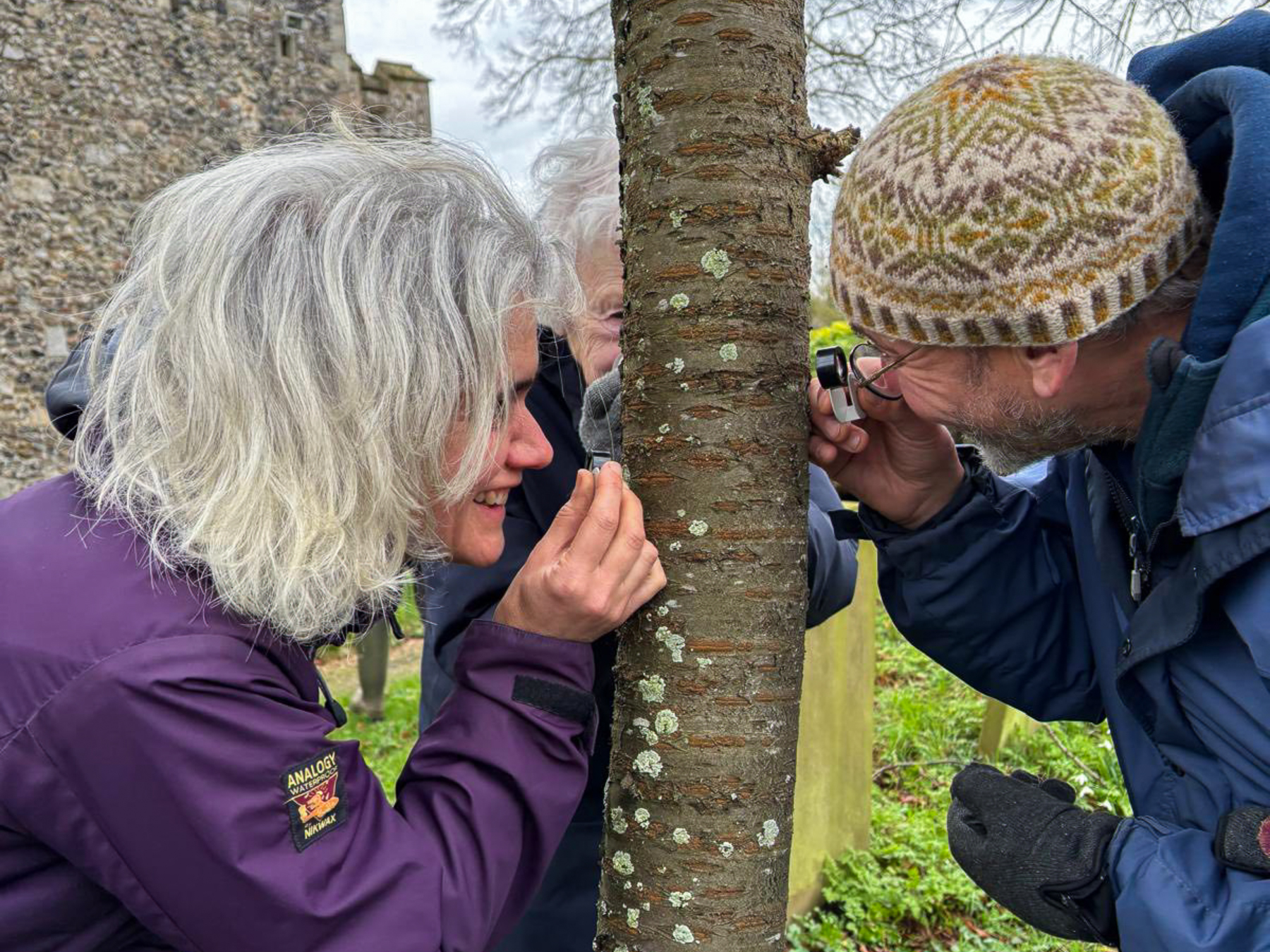 Lichen training for Bungay Conservation Volunteers